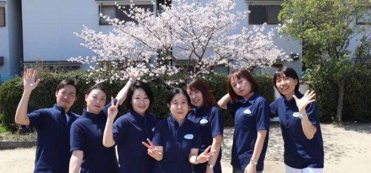 桜🌸満開