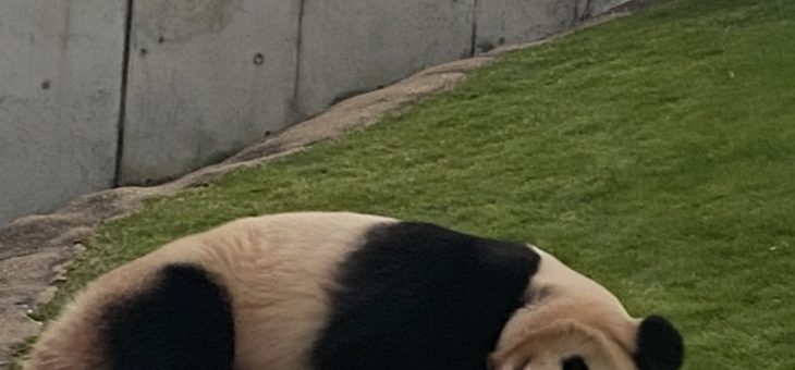 のんびり冬休み