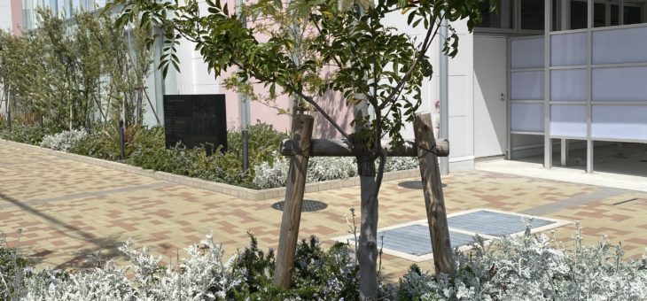 2021年度スタート